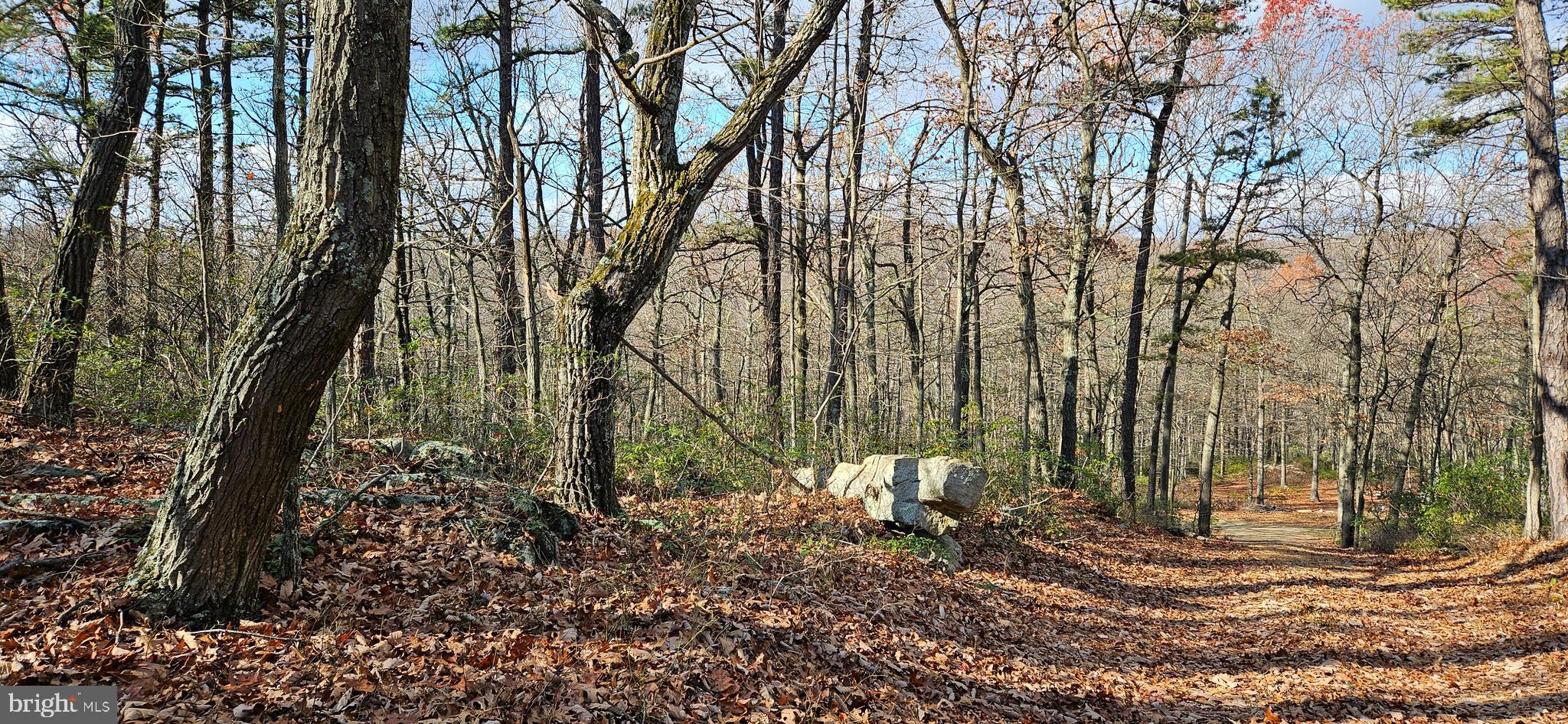 NONE AVAILABLE - Land