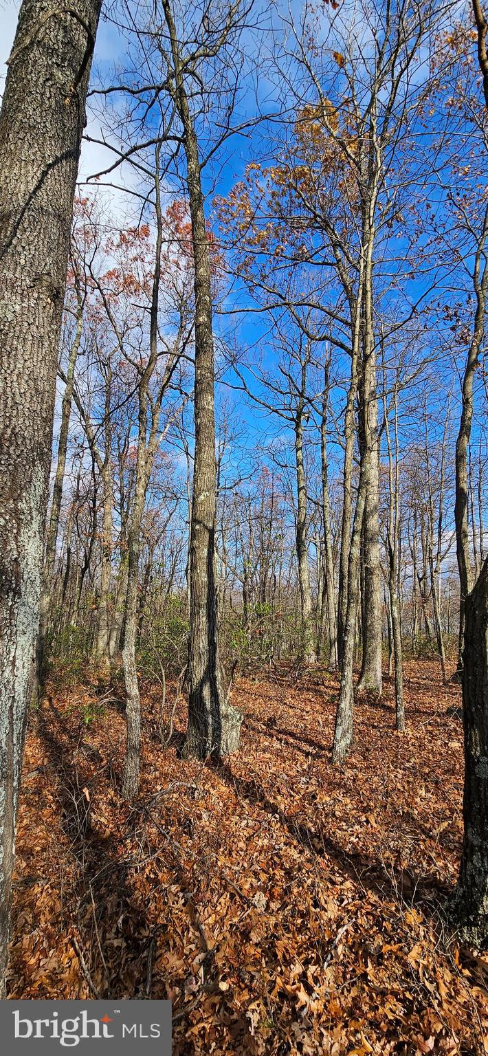 NONE AVAILABLE - Land