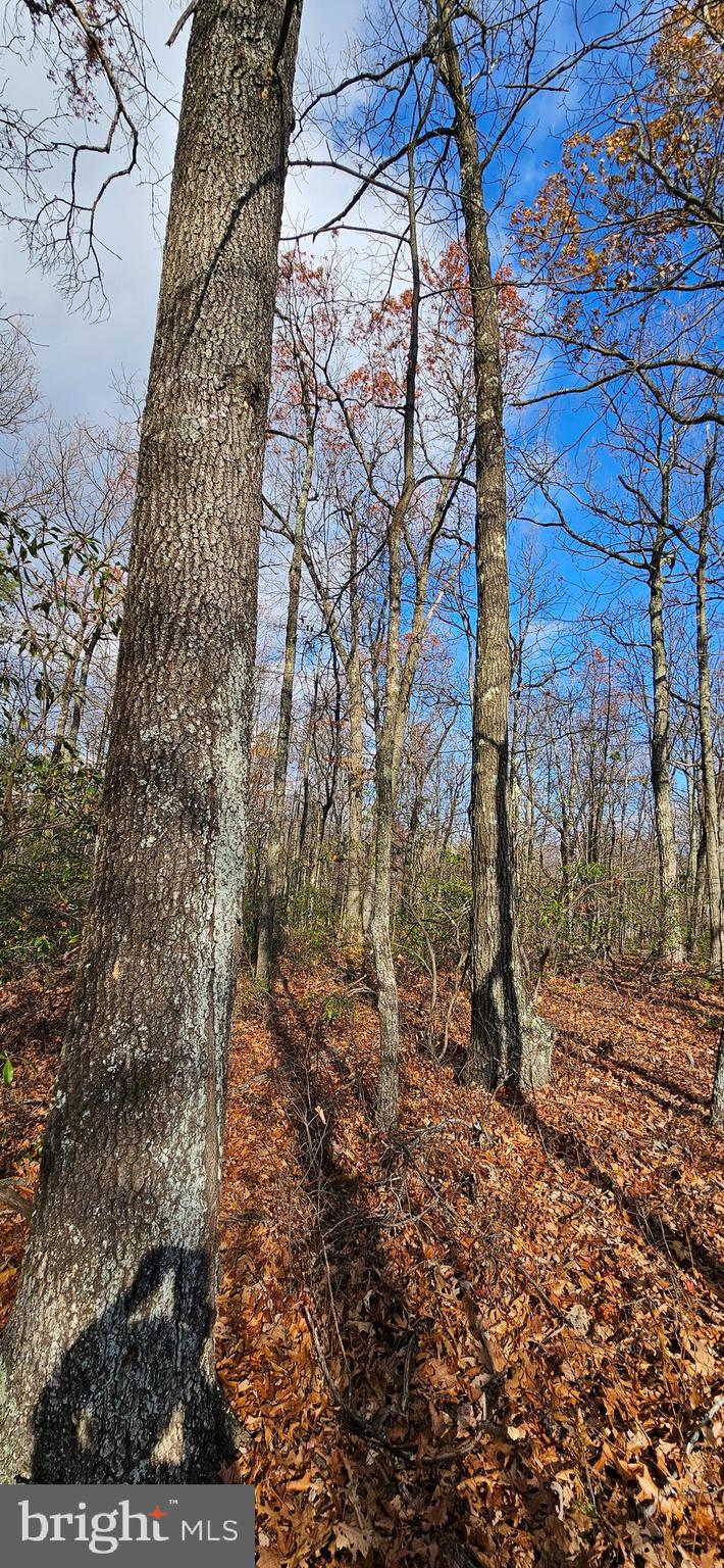 NONE AVAILABLE - Land