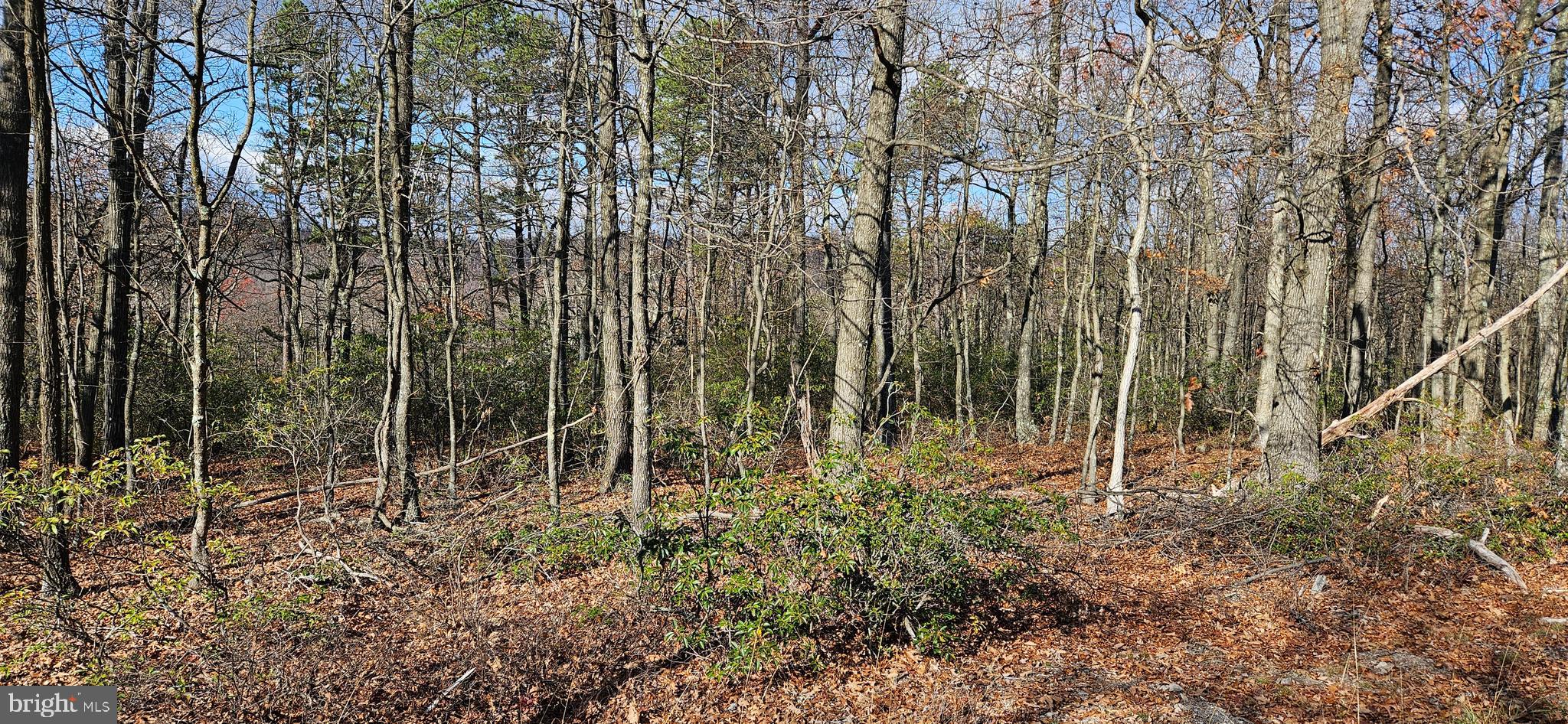 NONE AVAILABLE - Land