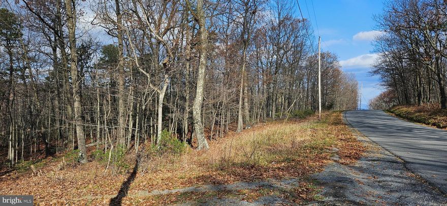 UNRESTRICTED level wooded lot on paved county road.  Approved perk test. Electric at property corner. 
Prime parcel for building a home, a cabin, a mobile home, a double wide  or just for camping in the woods.  Very nice lot to consider. Couple hugh rock outcroppings at the back line making this a real country mountain property that is assessable year round. .In the mountains of Morgan County WV.