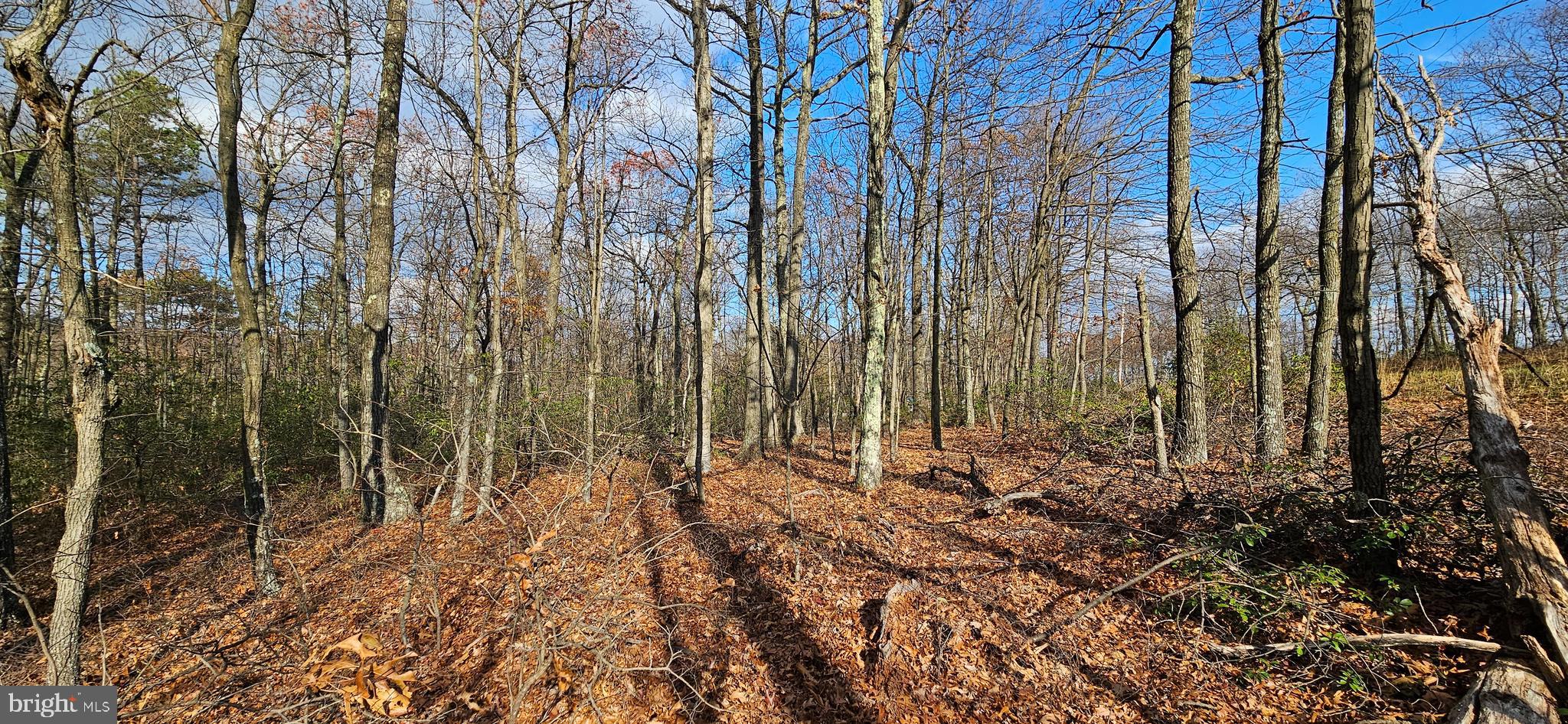 NONE AVAILABLE - Land