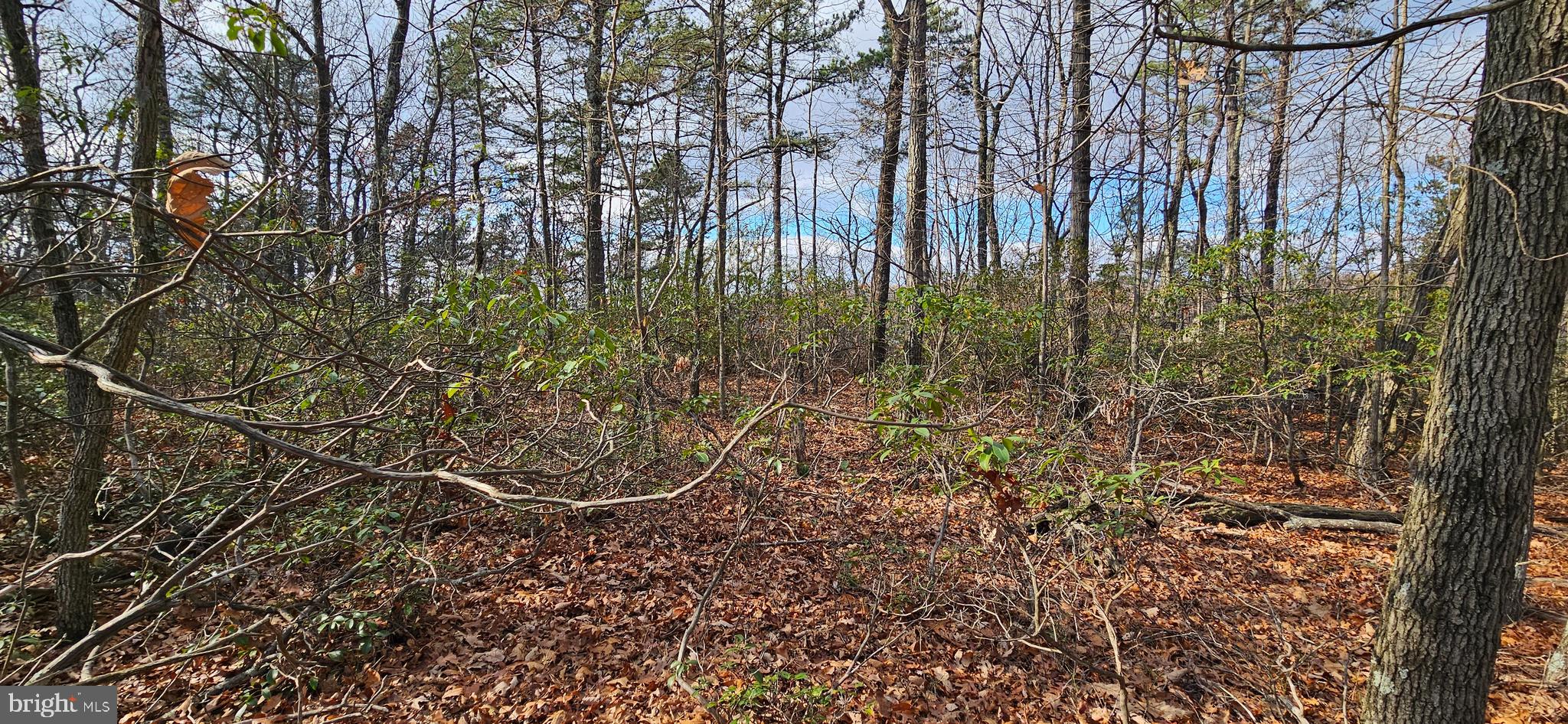 NONE AVAILABLE - Land