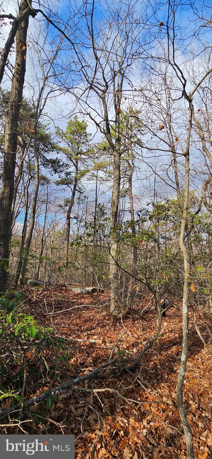 NONE AVAILABLE - Land