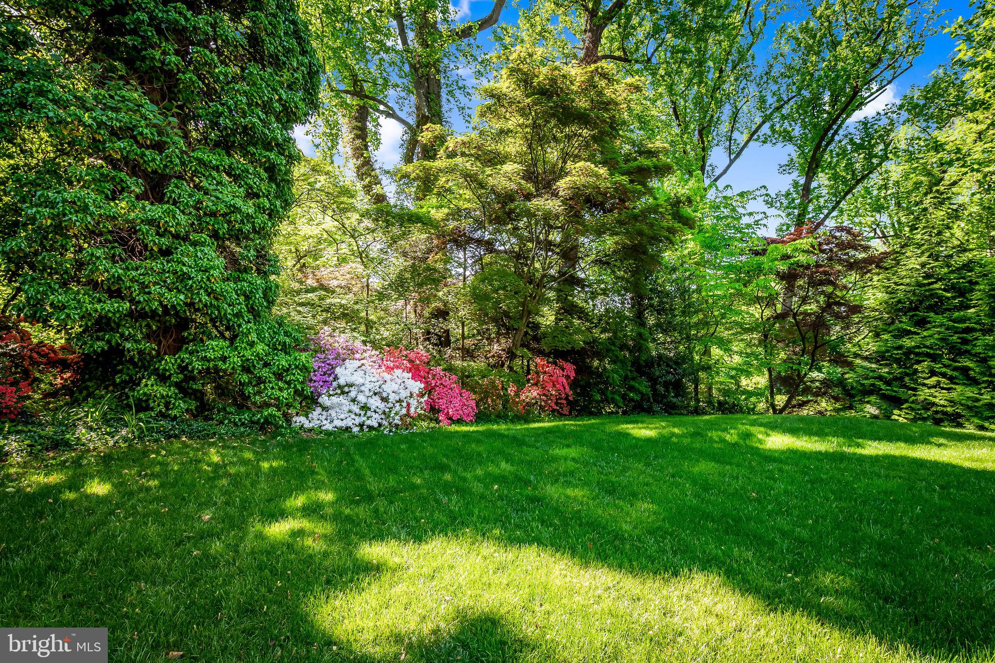 ROLAND PARK - Residential