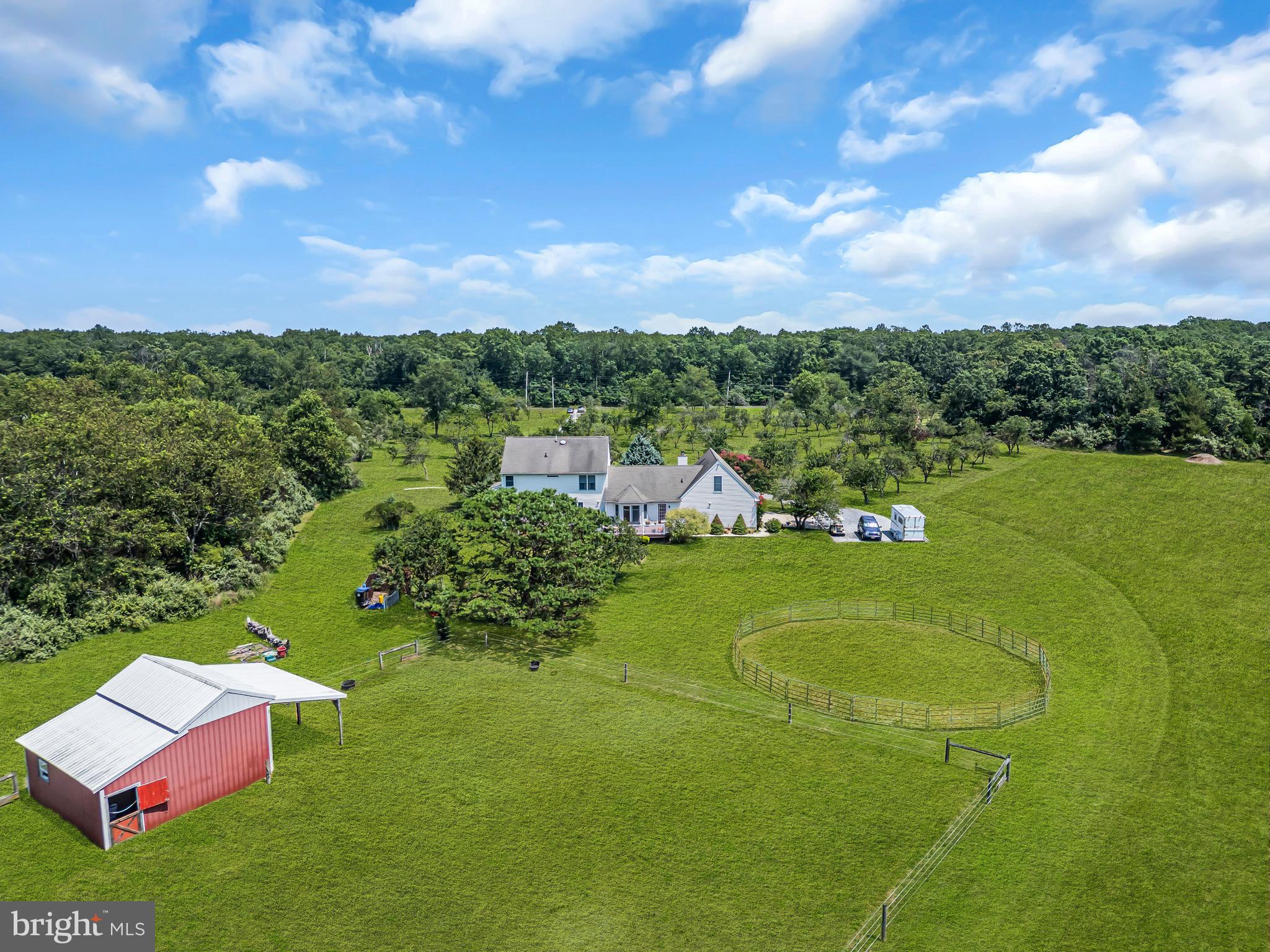 717 PESTLETON ROAD