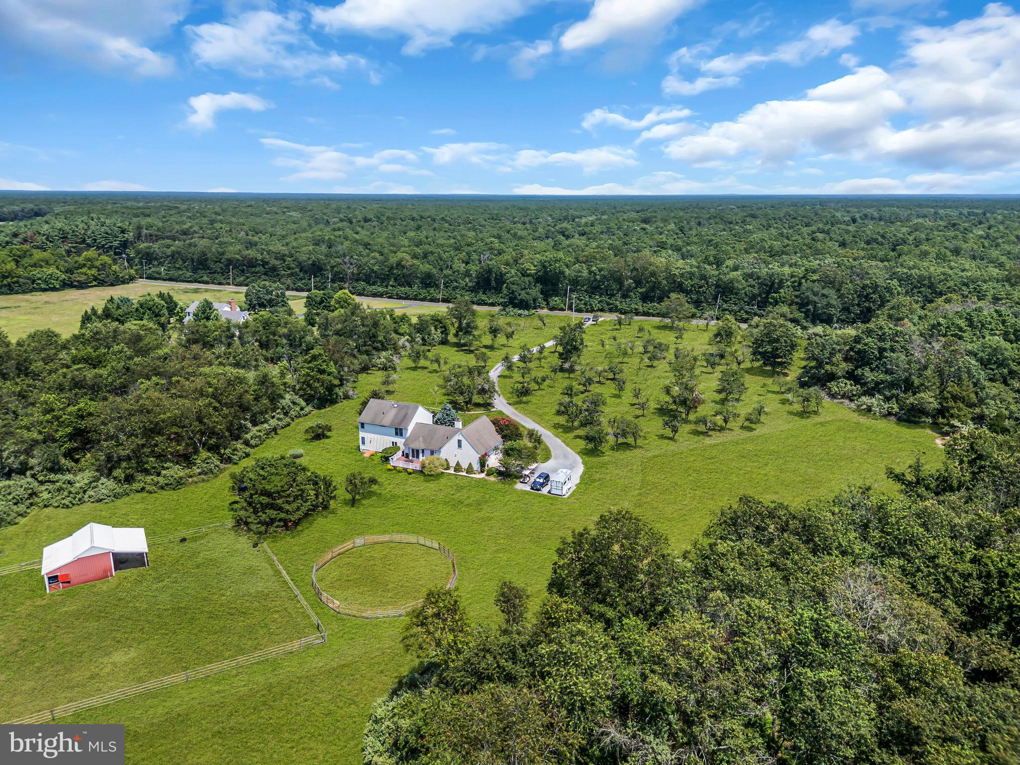 717 PESTLETON ROAD