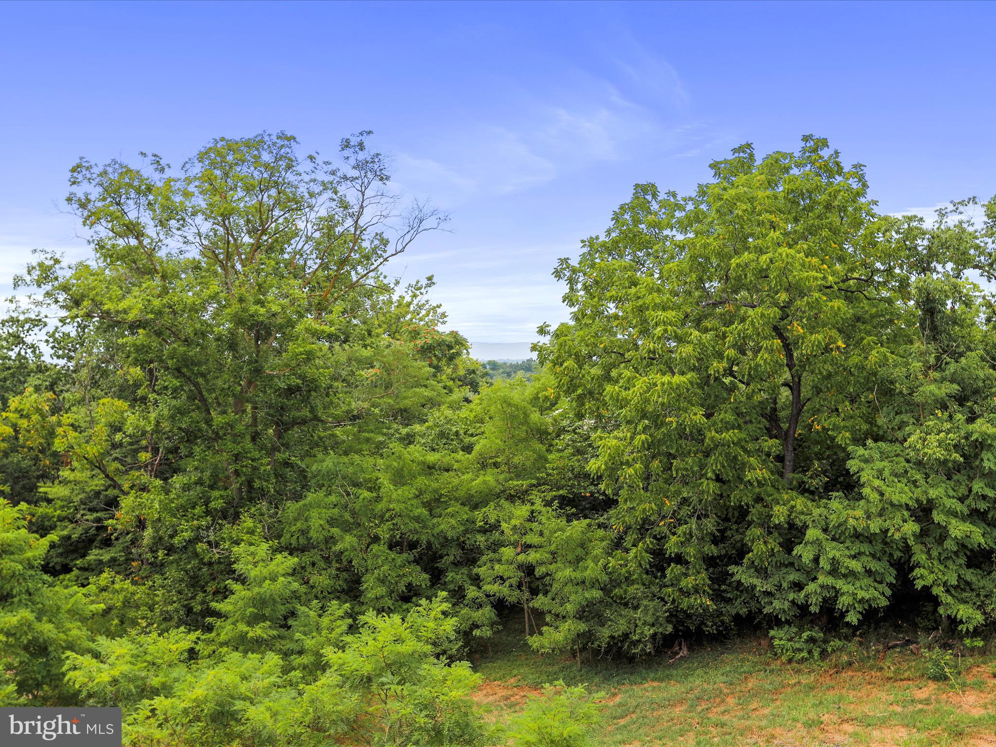 COLD SPRING RUN - Residential