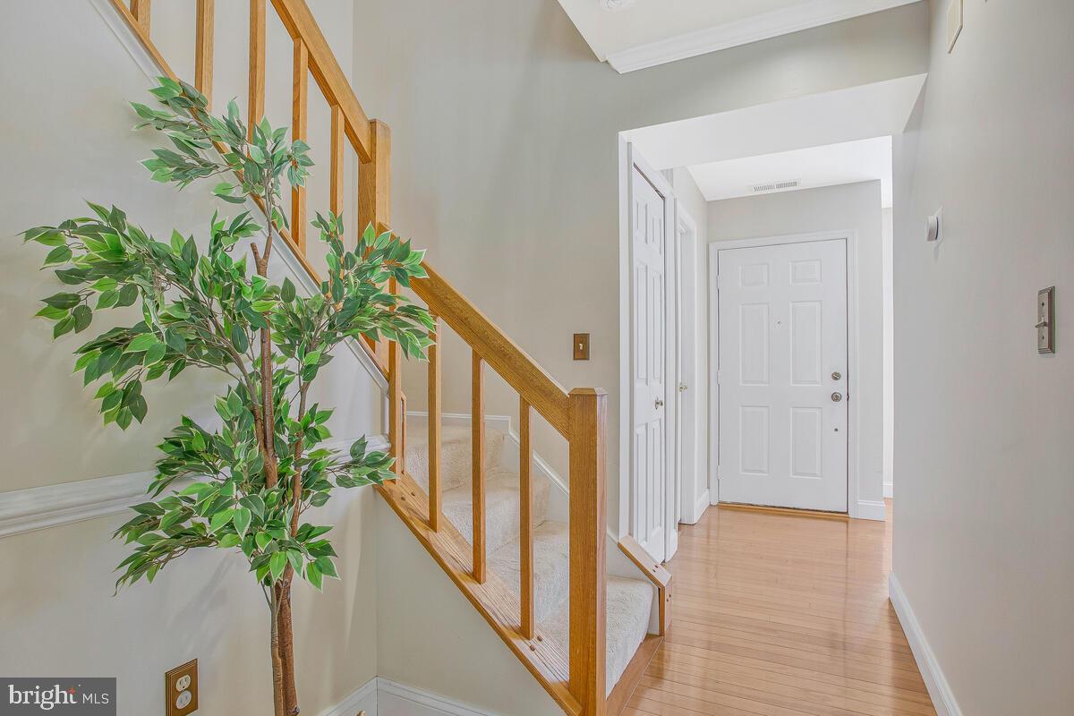 HUNT MEADOW - Residential