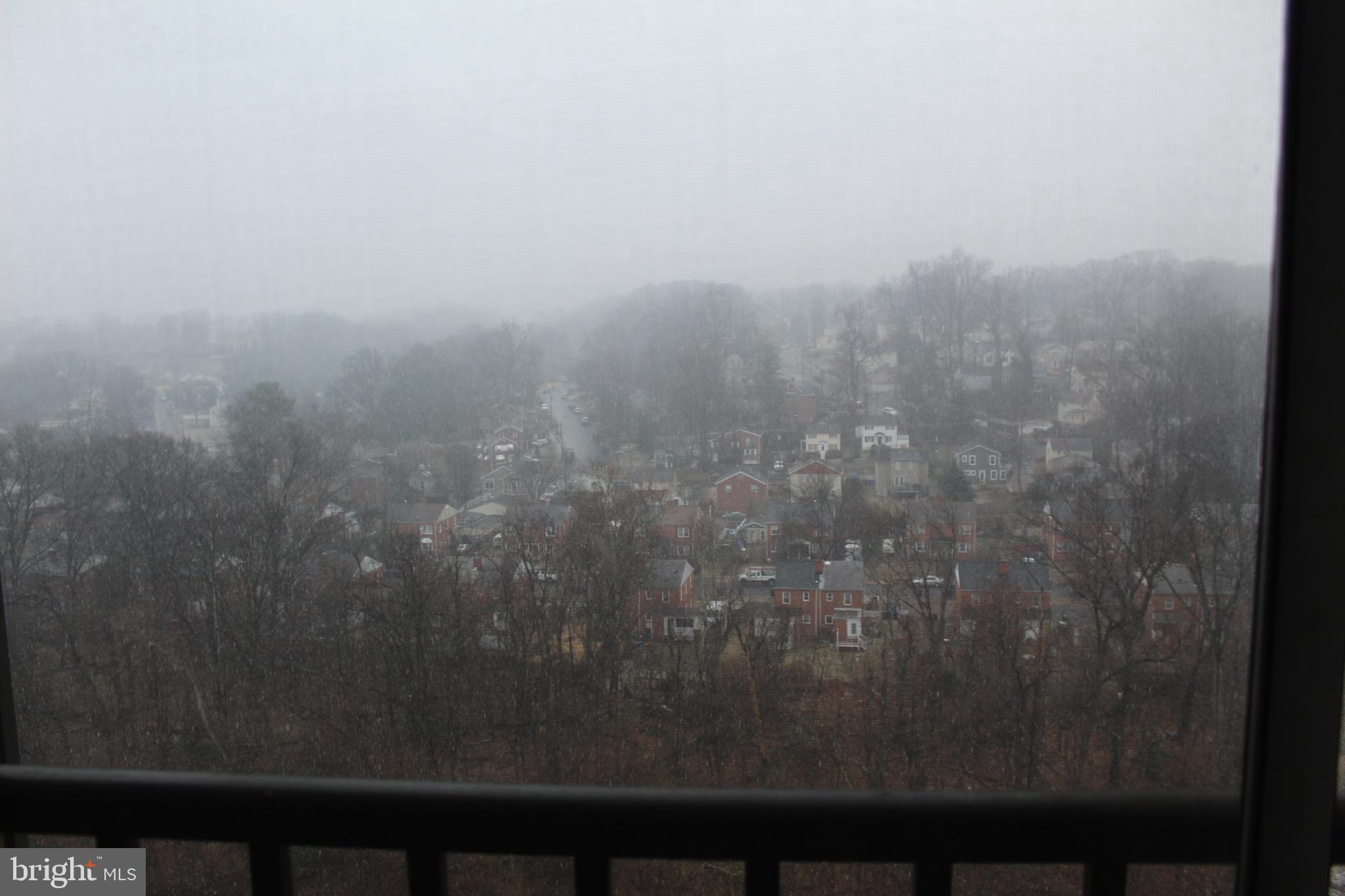 THE CARLTON - Residential Lease