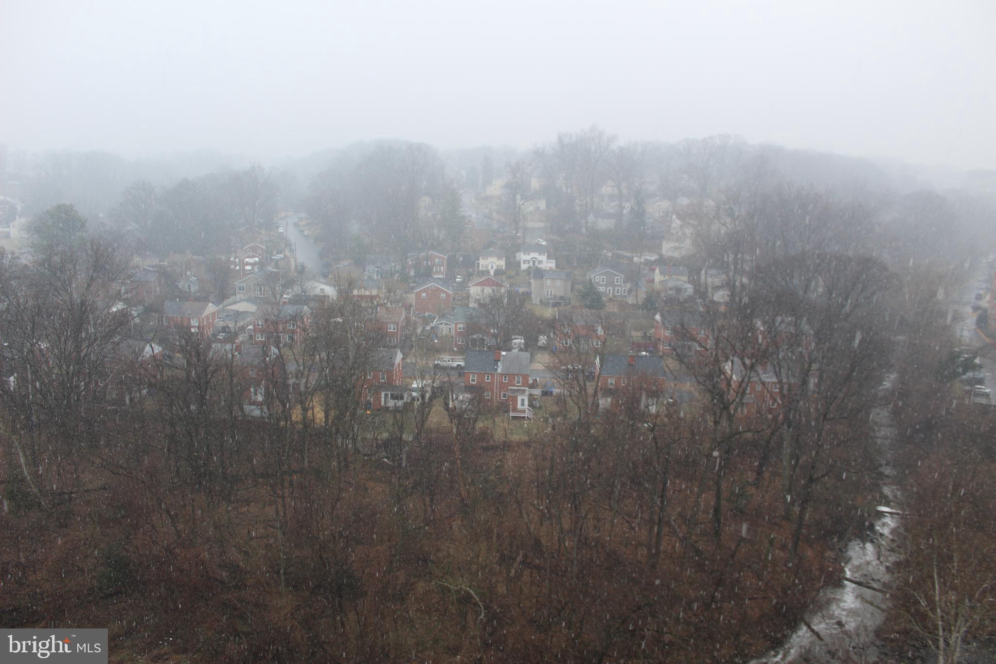 THE CARLTON - Residential Lease