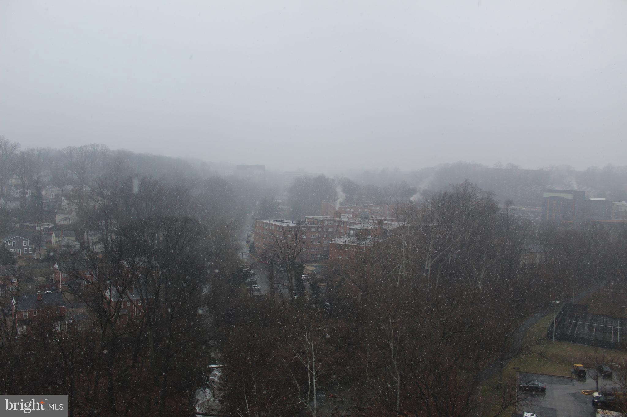 THE CARLTON - Residential Lease