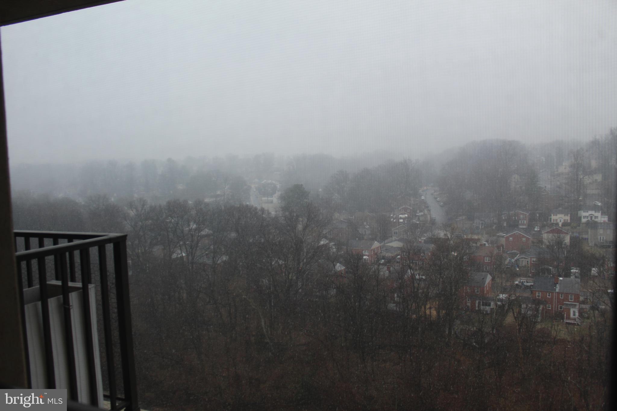 THE CARLTON - Residential Lease