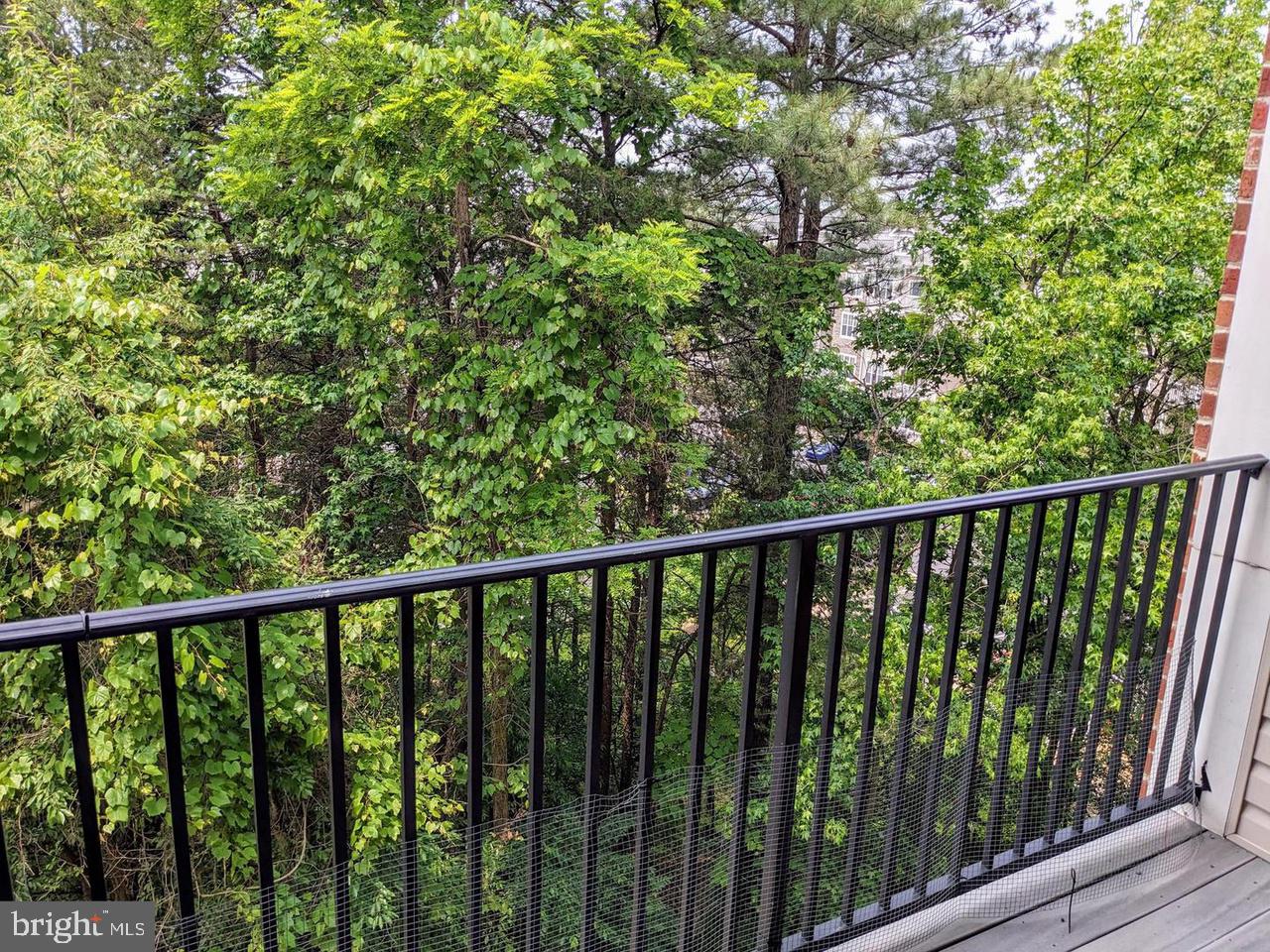 ANNE ARUNDEL - Residential