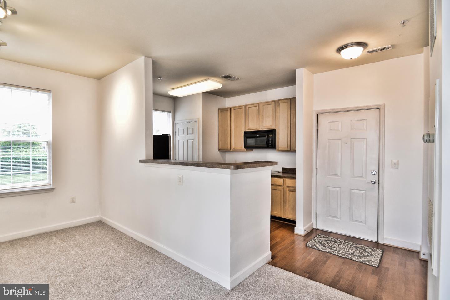 22687 BLUE ELDER TERRACE 104