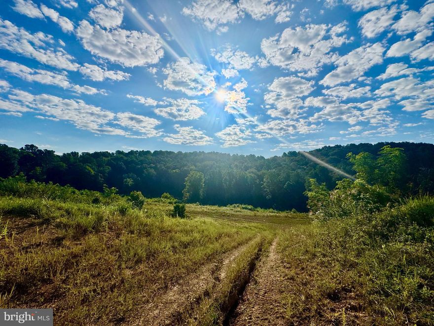 "Heavenly Hopewell" Privacy & Convenience! Incredible opportunity to own 70 +/- ACRES just off of WV-310 and minutes from Interstate 79. Marketable timber filtered throughout, pond, ATV trails to access whole property, and open meadows. Build, hunt, fish, develop as the possibilities are endless here. Appointment required. Call for your private showing today!