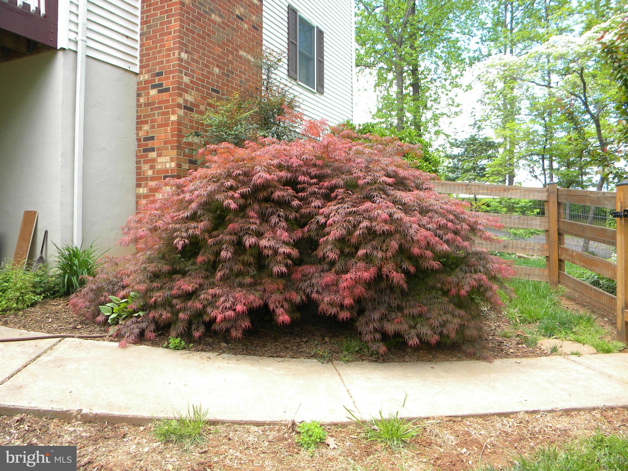 GLENMORE HEIGHTS - Residential