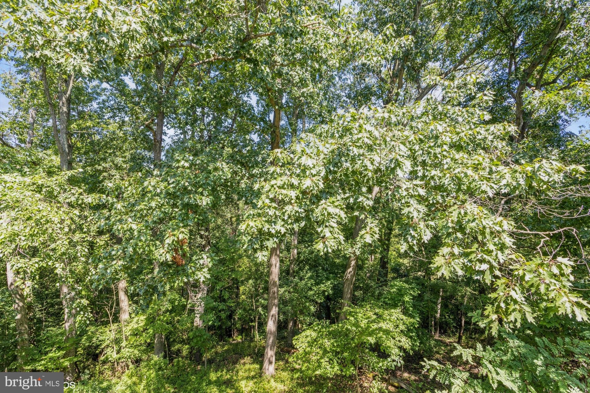 SPRING RIDGE - Residential