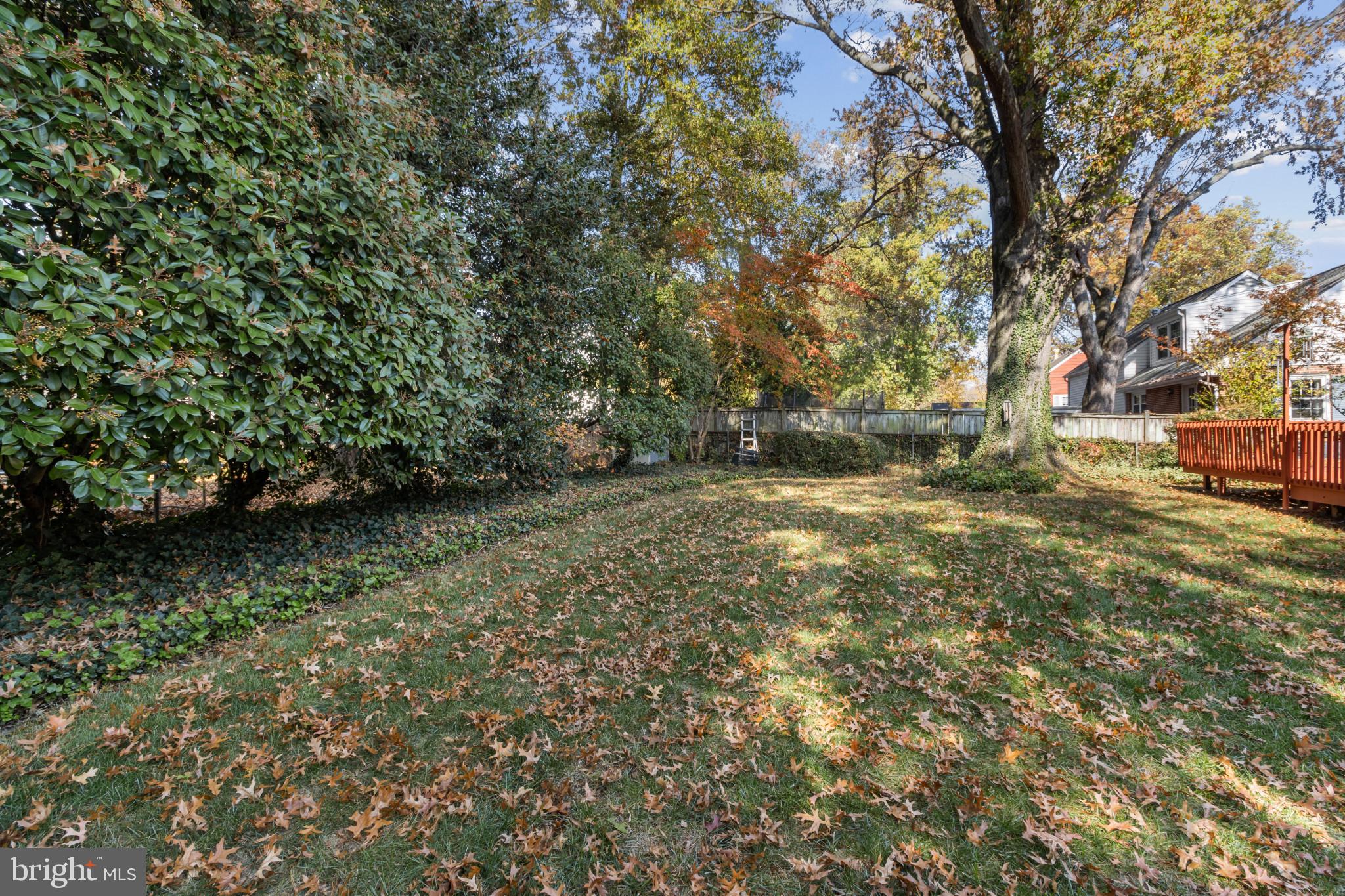 WAYNEWOOD - Residential