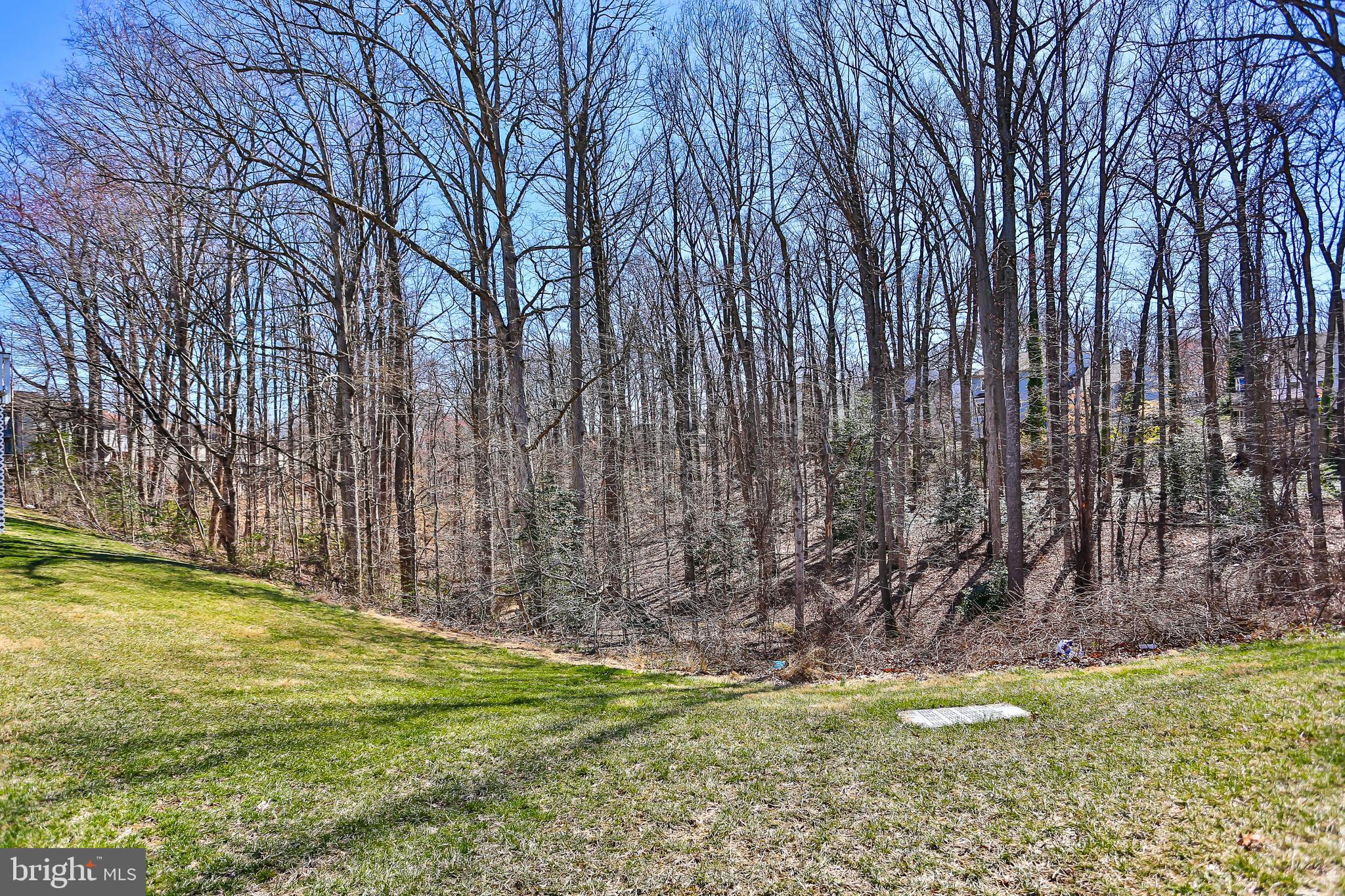 MONTCLAIR - Residential