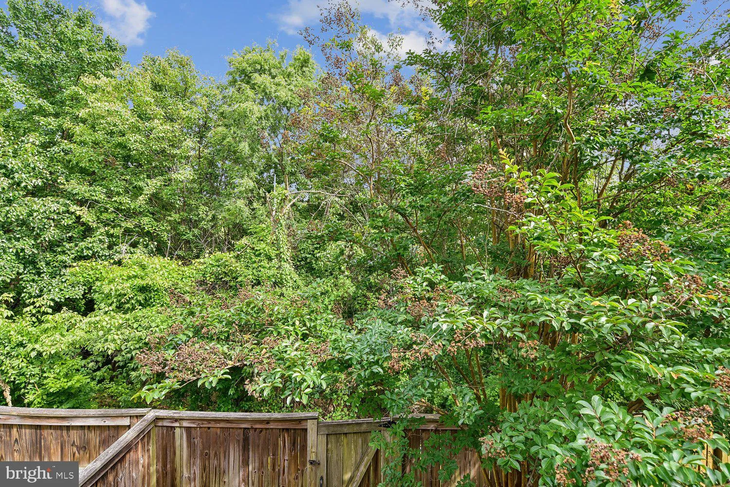 Additional image 62 of 1035 Carbondale Way, Gambrills, MD 21054