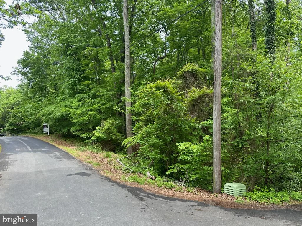 323 Palomino Lane