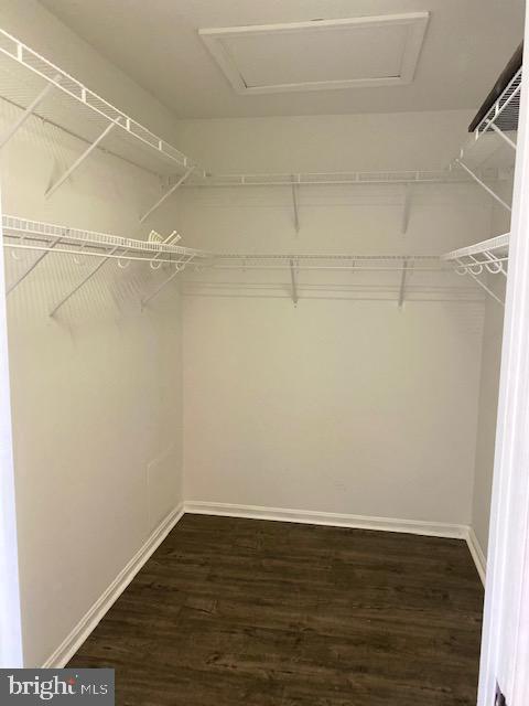 CONSTANT BRANCH - Residential Lease