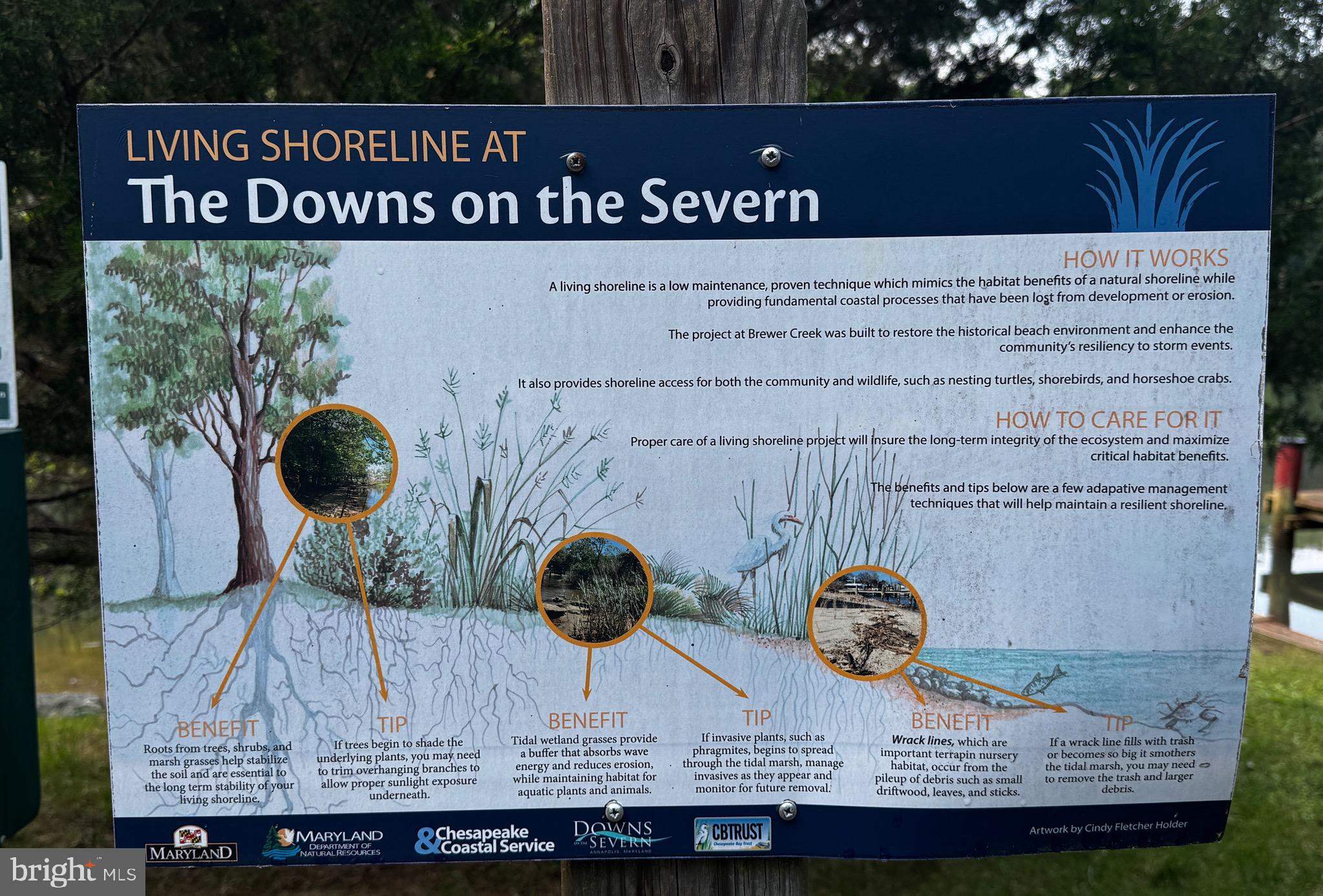 DOWNS ON THE SEVERN - Residential