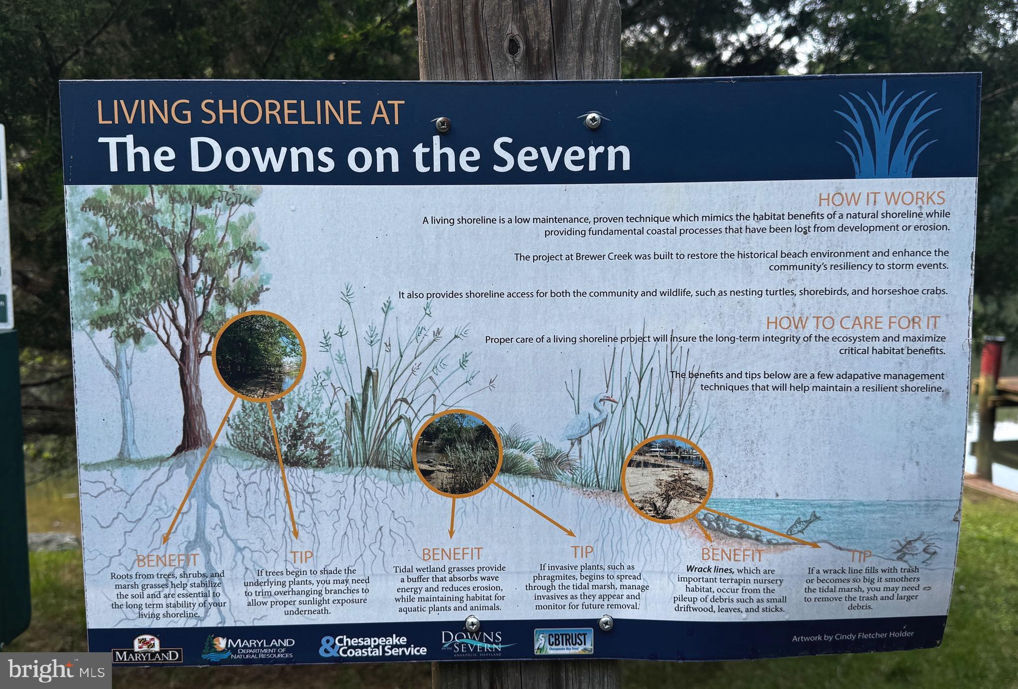 DOWNS ON THE SEVERN - Residential