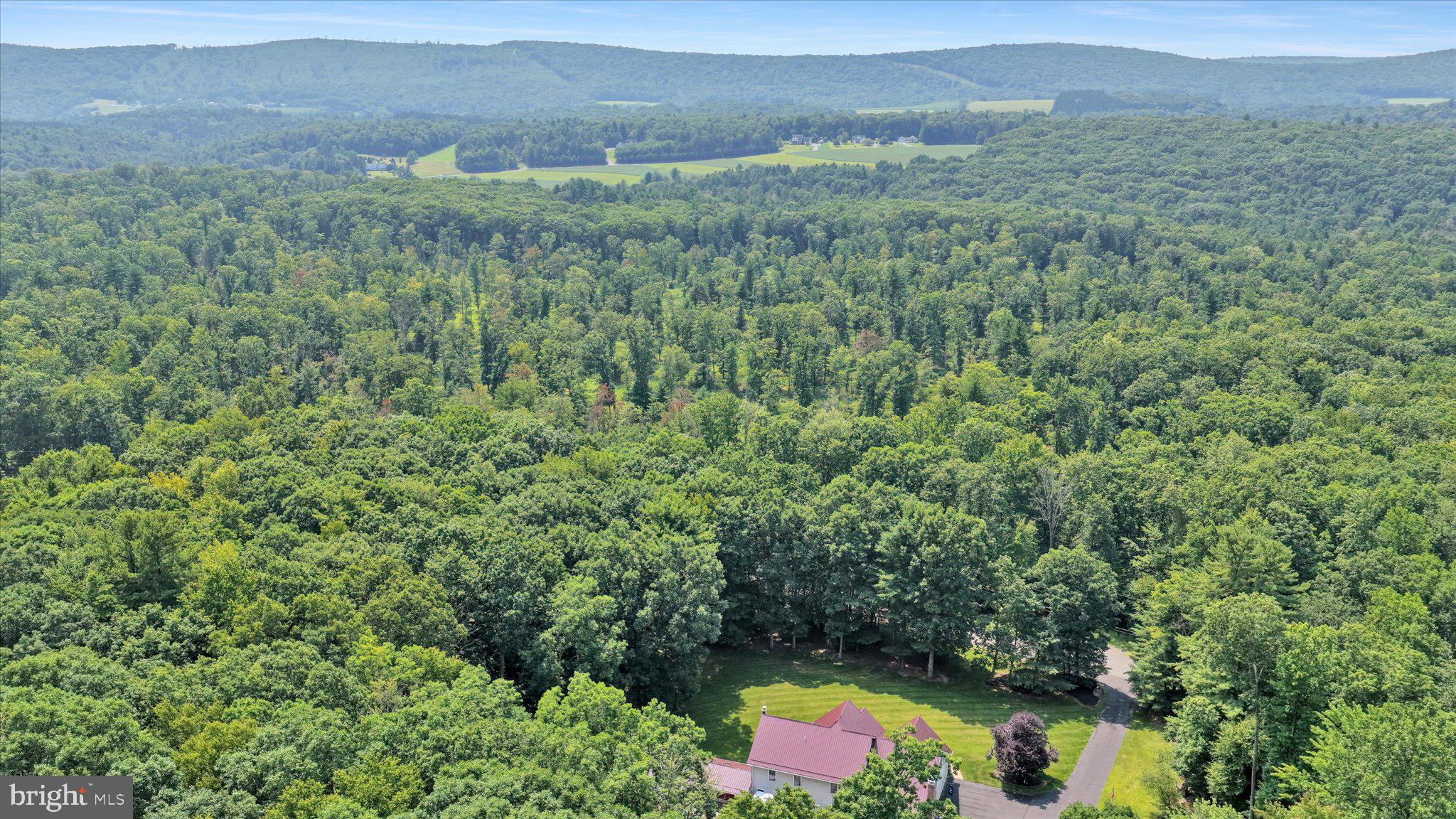 LOT 8 BACK ROAD S