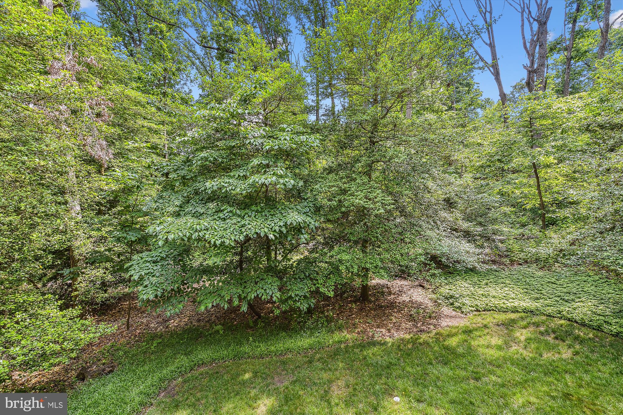 STONINGTON - Residential