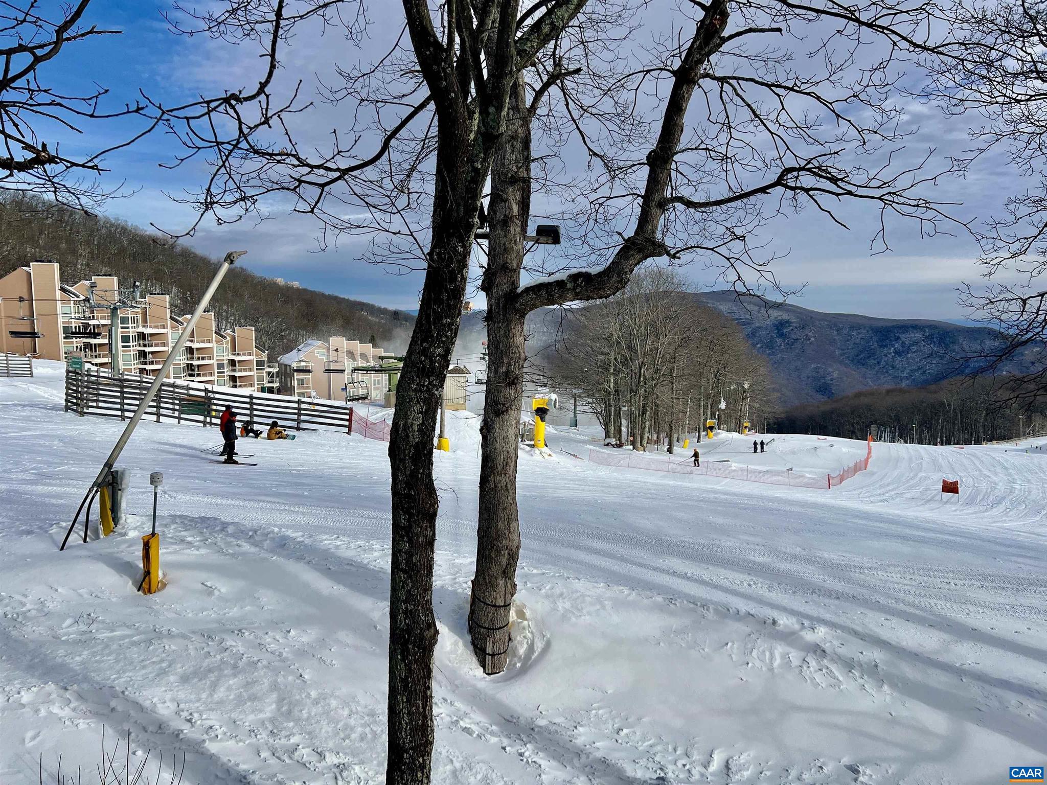 WINTERGREEN RESORT - Residential