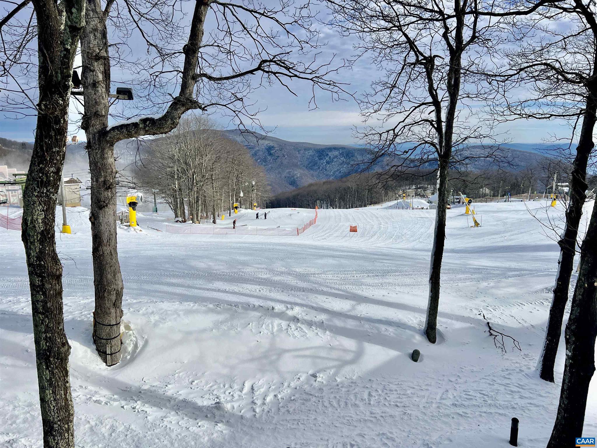 WINTERGREEN RESORT - Residential