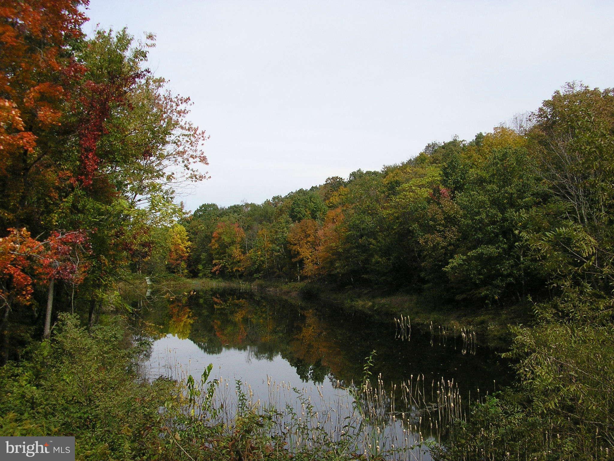 HARDWOOD HILLS - Land