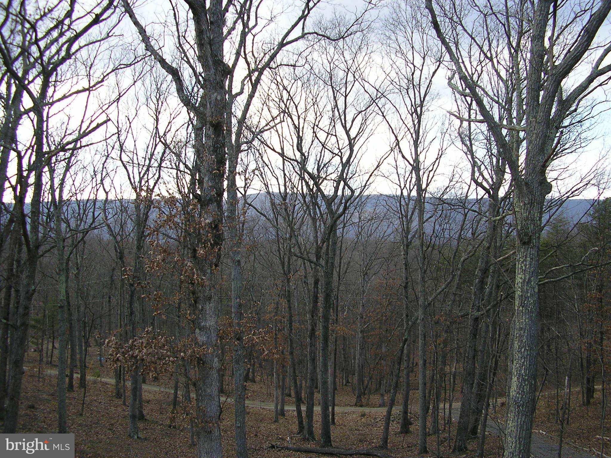 HARDWOOD HILLS - Land