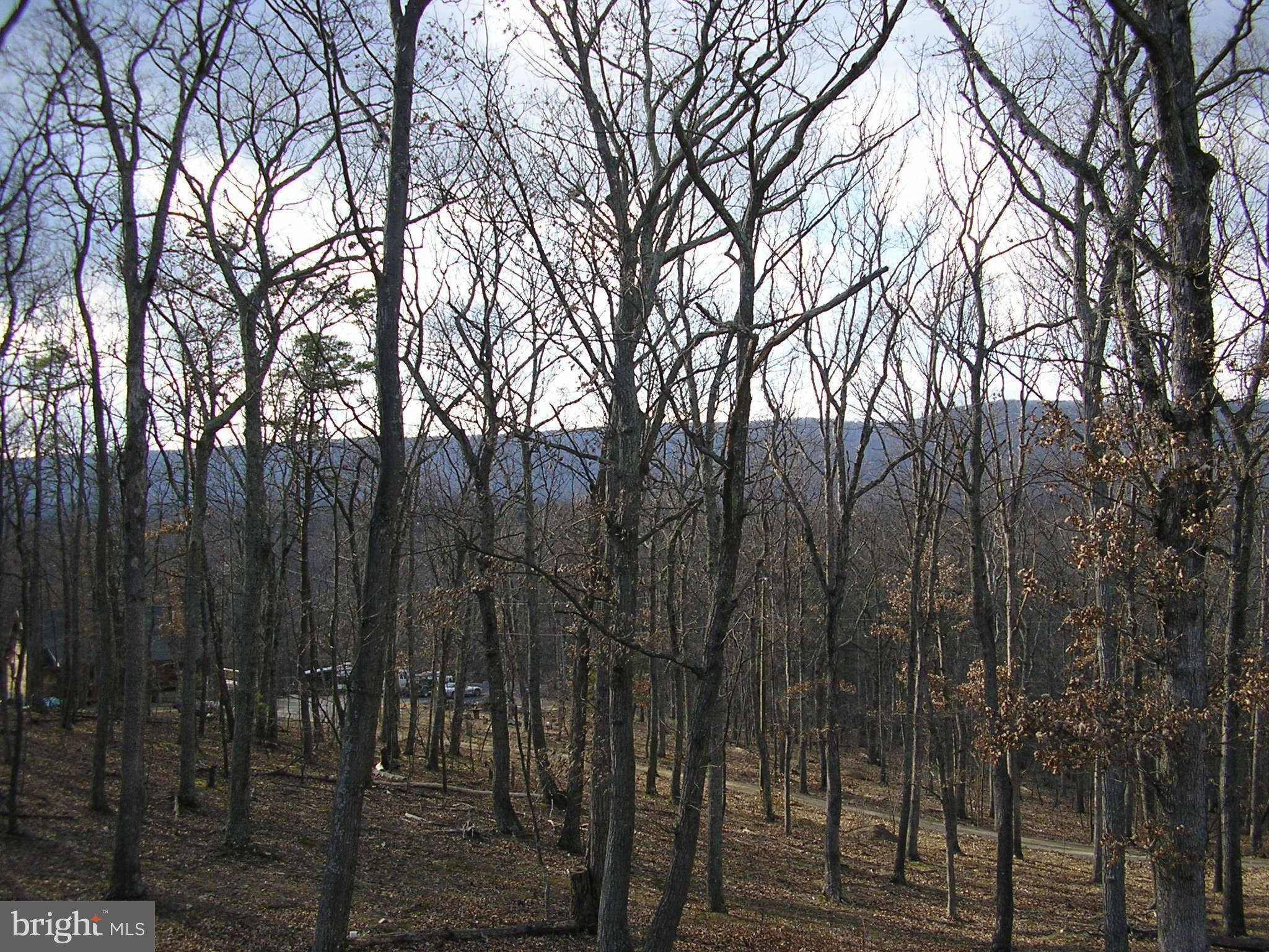 HARDWOOD HILLS - Land