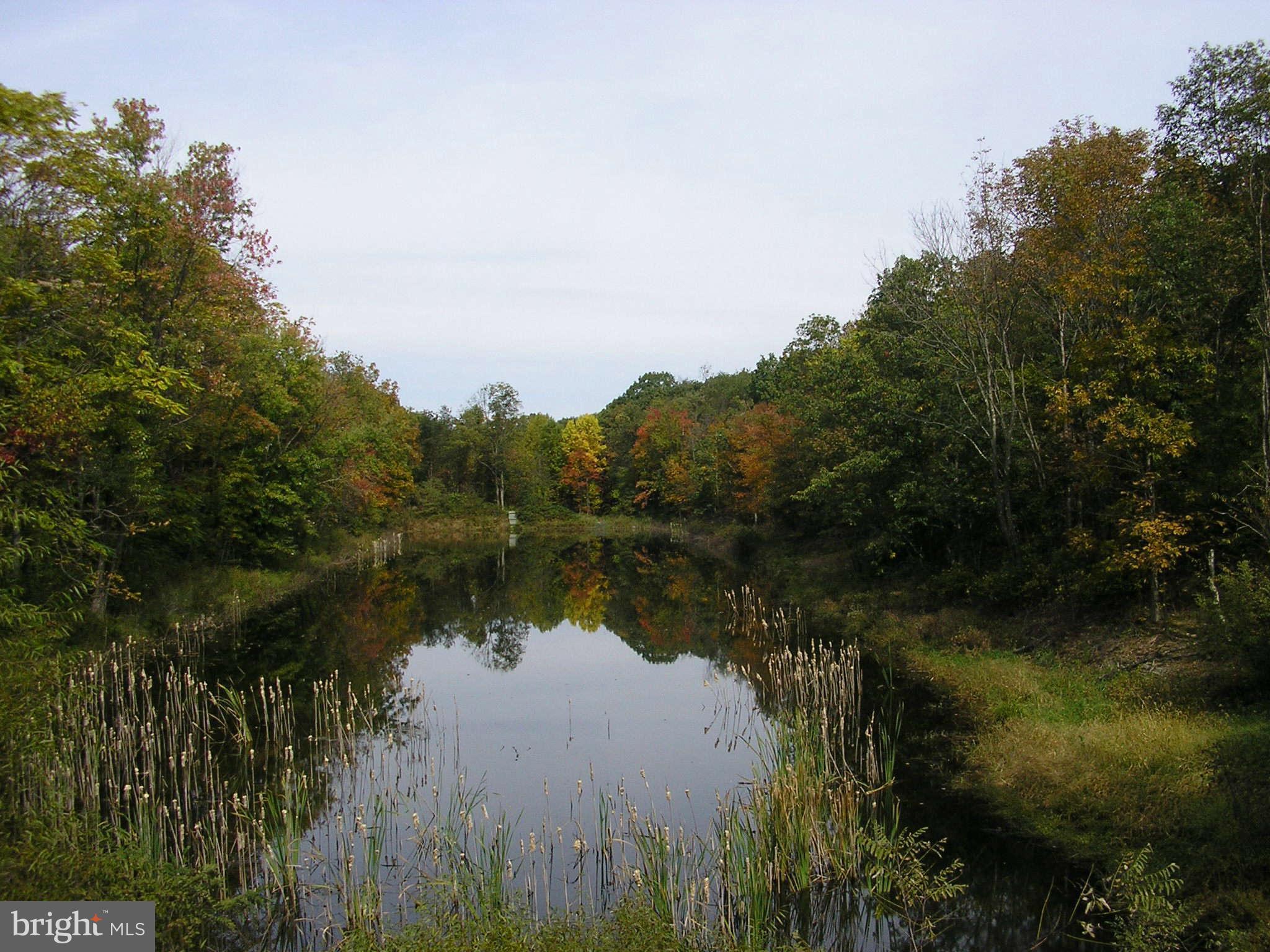 HARDWOOD HILLS - Land