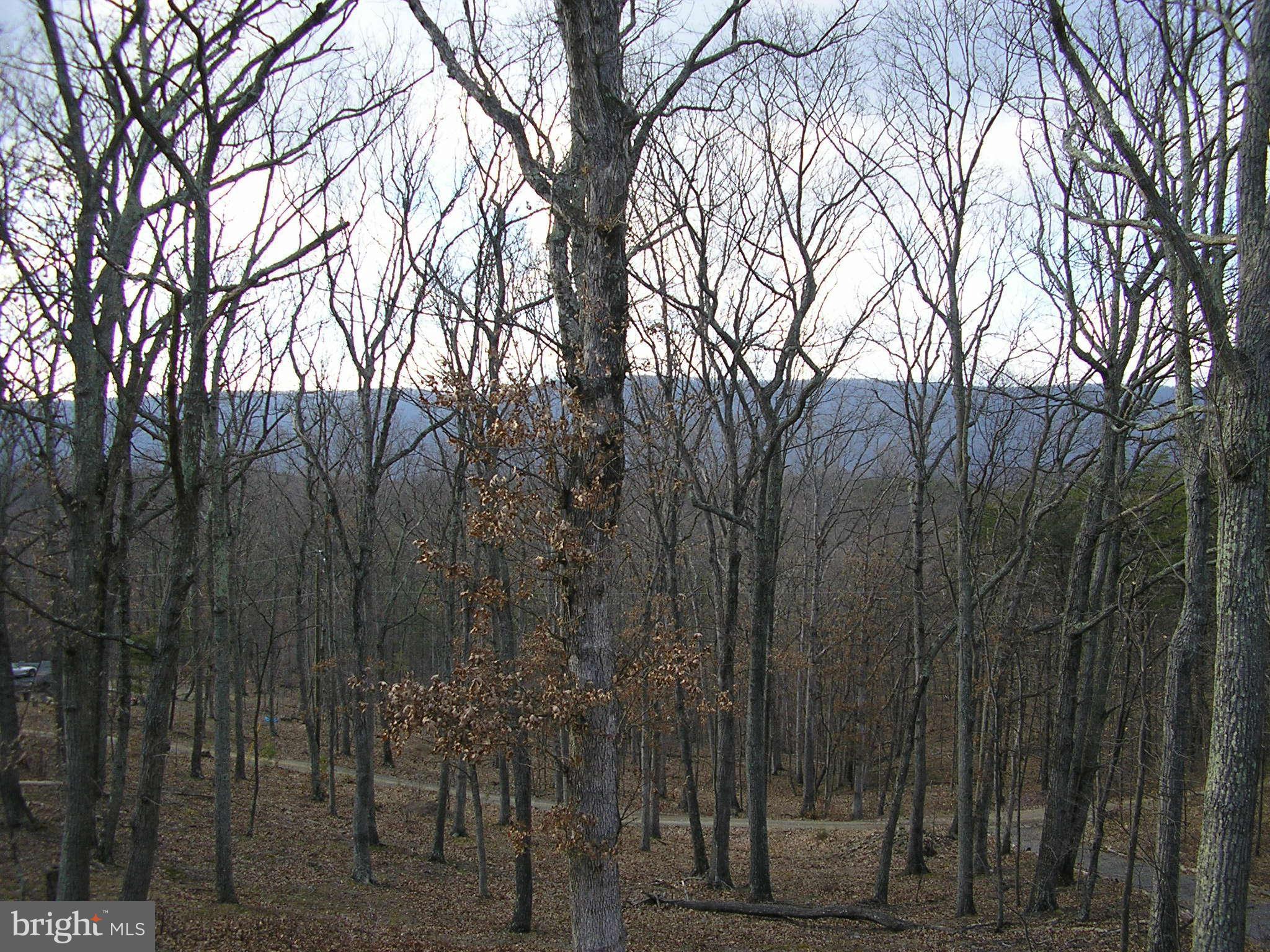 HARDWOOD HILLS - Land