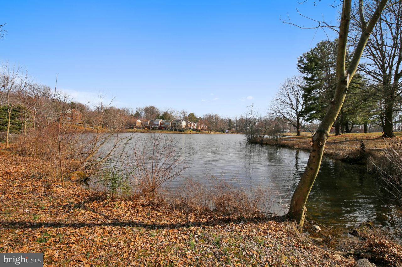 LAKE BRADDOCK - Residential