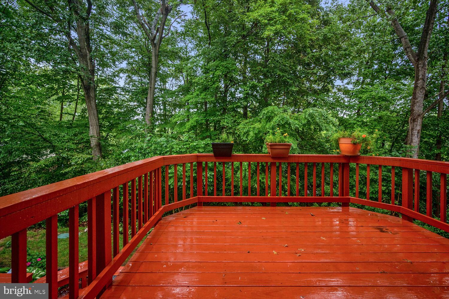 TOWNS OF FOREST HILLS - Residential