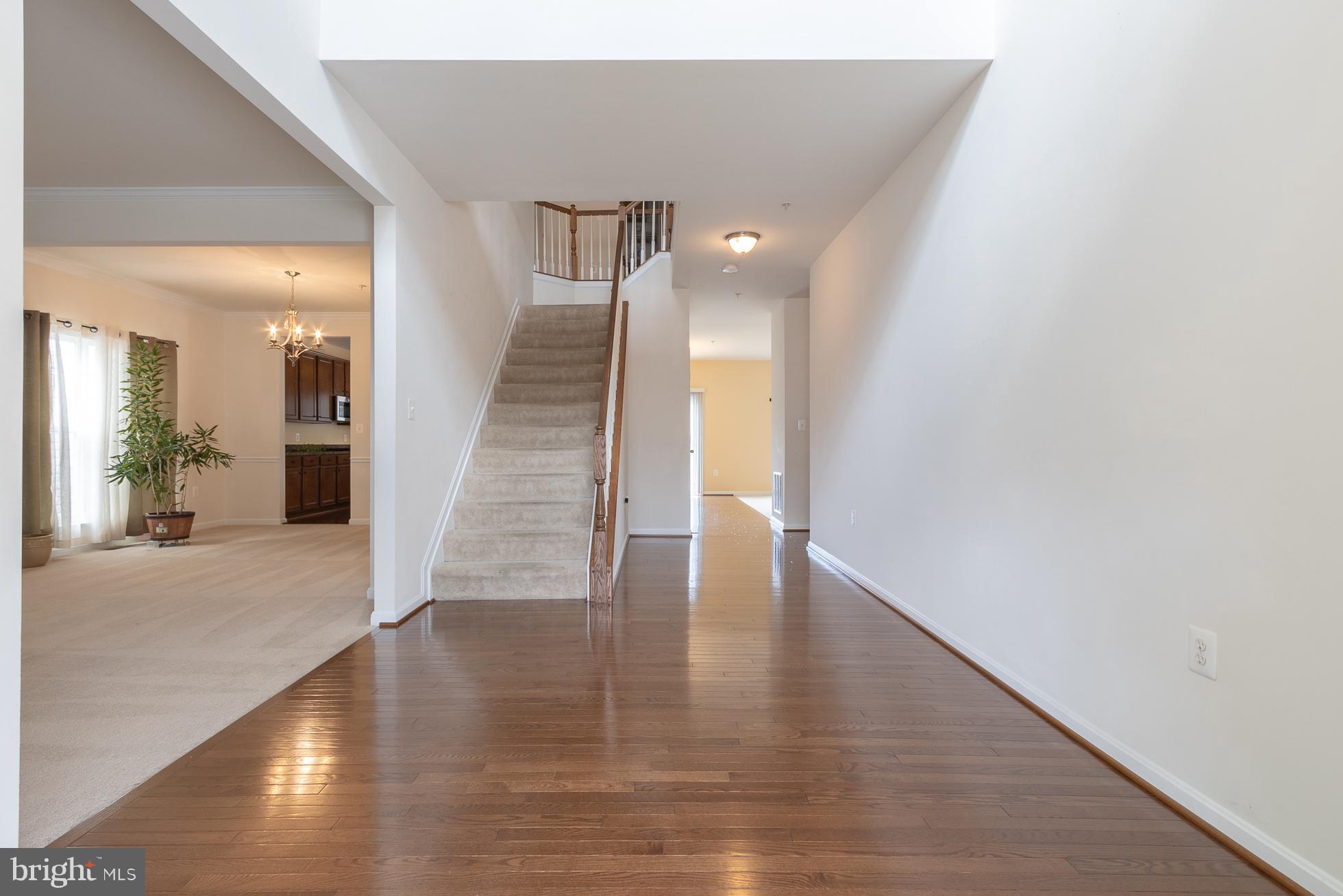 CHADDSFORD - Residential