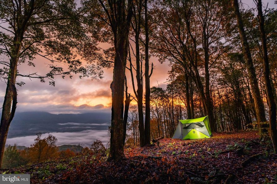 "100 +/- ACRE Appalachian Mountain Paradise" Just 30 miles from Snowshoe Mountain Resort surrounded by the pristine & majestic  Monongahela National Forest and Handley Wildlife Management area! A newly graveled internal road system leads the way to the stunning panoramic overlook, 4,100 feet closer to the clouds. Mix seclusion, breathtaking views, buildable cabin sites, established road system, pond & tucked minutes from the renowned Williams River, you have a very RARE opportunity. The Williams River is one of the heaviest stocked trout streams in the state as well as supporting an abundance of native trout.  This property was designed for outdoor adventure! Wildlife is plentiful here, including deer, turkey, bears, and a numerous other native species.  Enjoy all this property has to offer in all seasons, from winter and summer sports at Snowshoe to fly fishing in the spring, embrace the peacefulness this West Virginia Mountain Gem has to offer.  Seeking convenience and seclusion in the heart of the Appalachian Mountains surrounded by National Forest? You found a rare one!