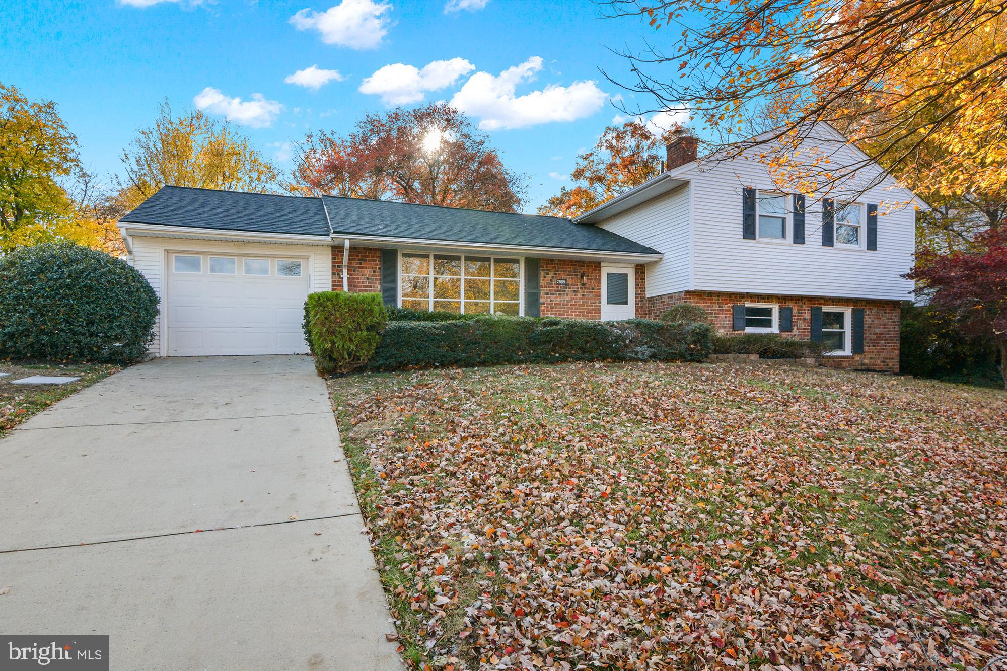 2909 SHANANDALE DRIVE