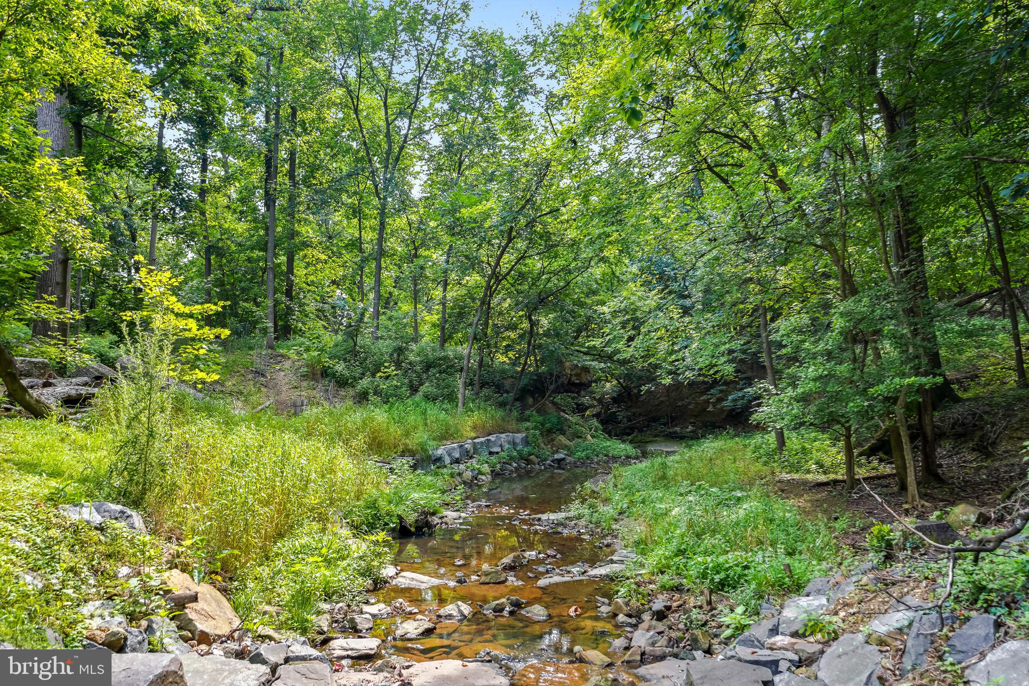 TAKOMA PARK - Residential
