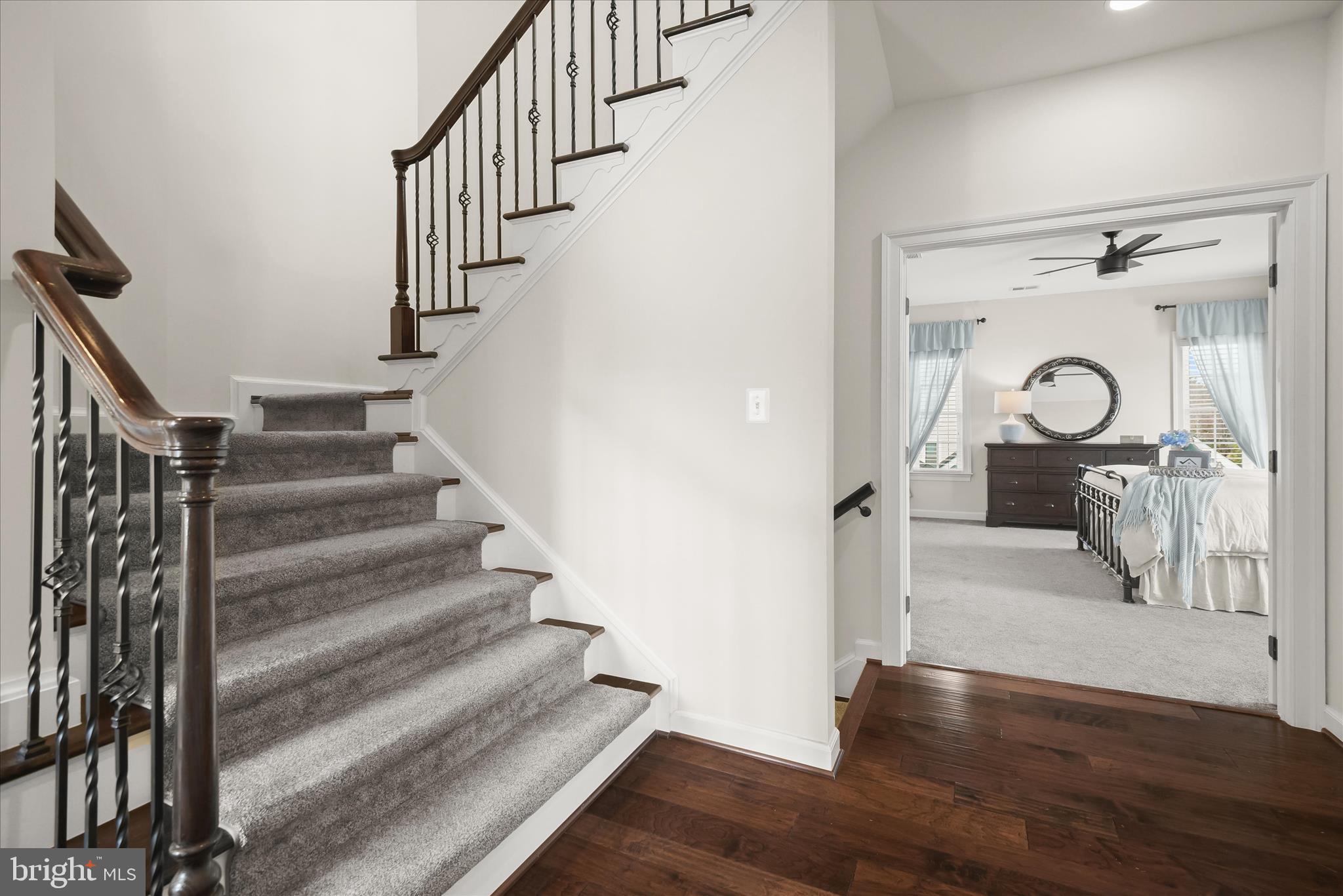 MAPLE LAWN - Residential