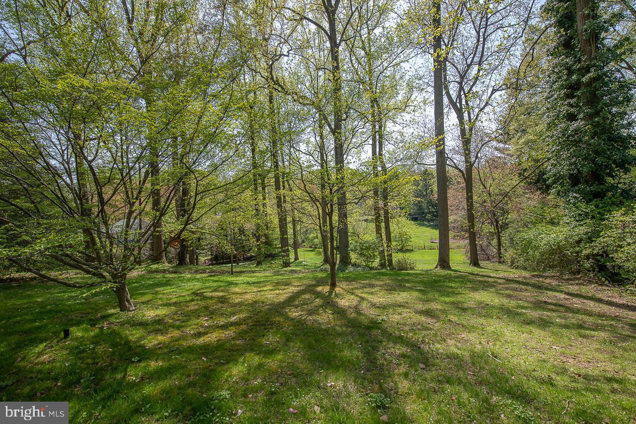 BRYN MAWR - Residential