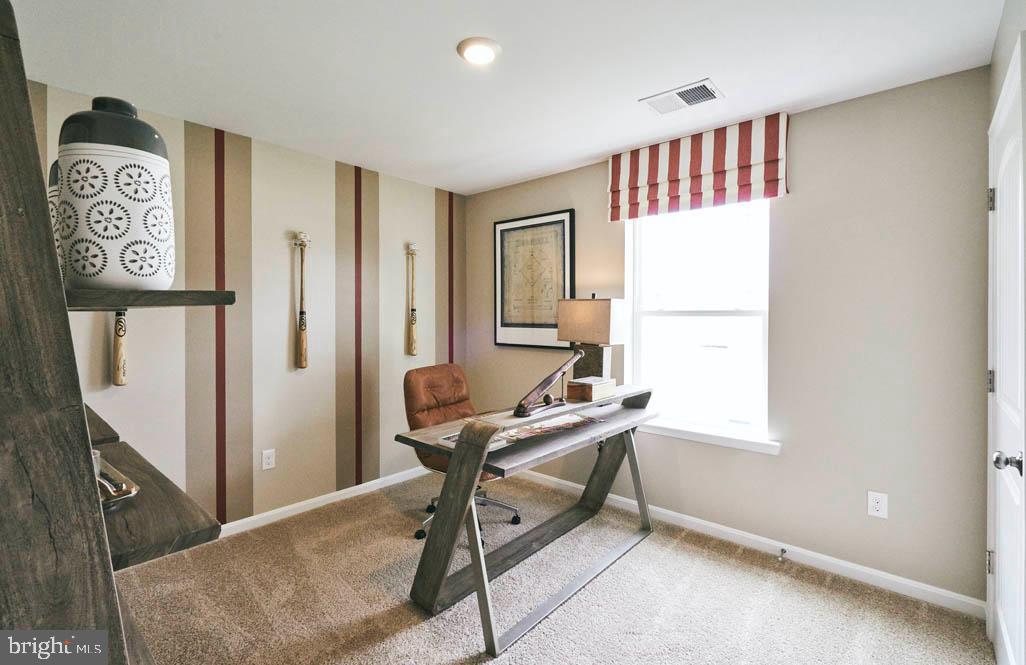 SASSAFRAS MEADOWS - Residential