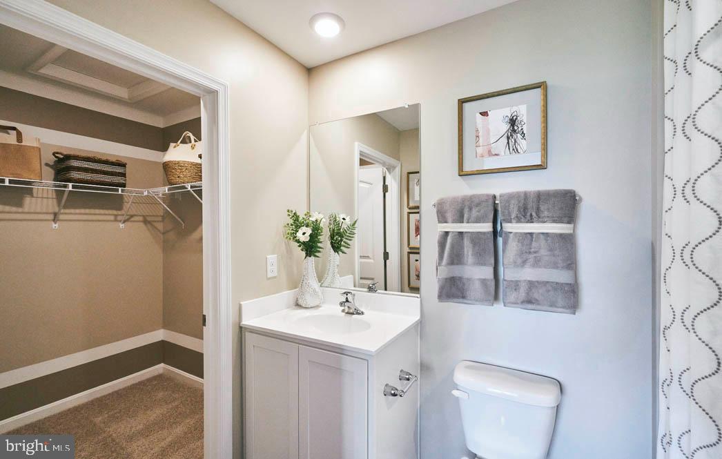 SASSAFRAS MEADOWS - Residential