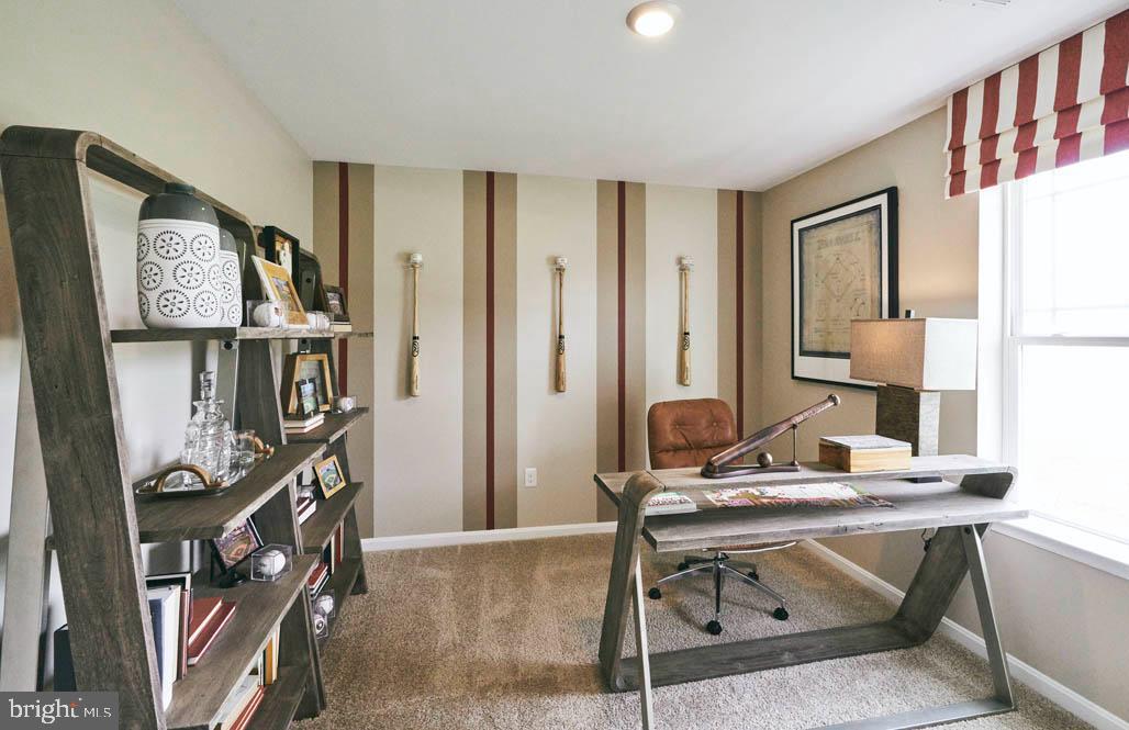 SASSAFRAS MEADOWS - Residential