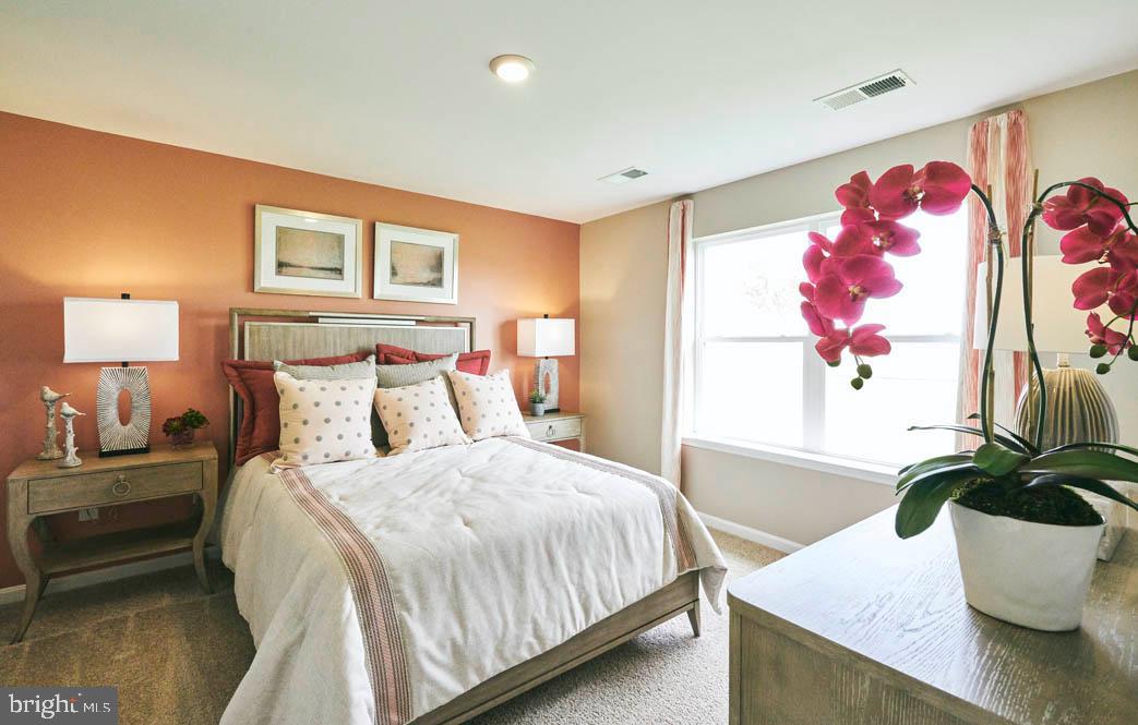 SASSAFRAS MEADOWS - Residential